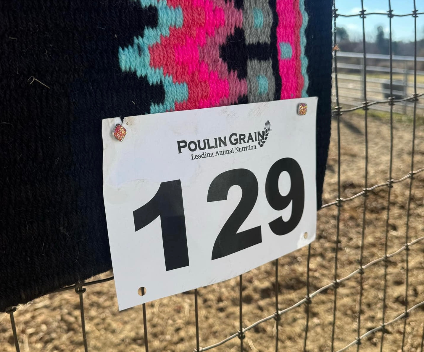 WESTERN SHOW NUMBER PINS - TURQUOISE