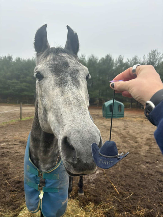 MINI COWBOY HAT ORNAMENT